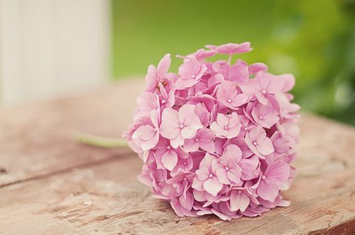 ��ʱ����ƽ��������������ȥ (1)