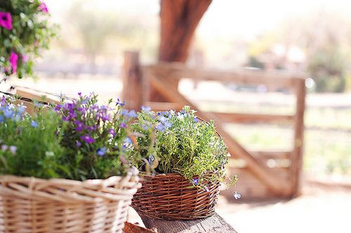 ��ʱ����ƽ��������������ȥ (10)