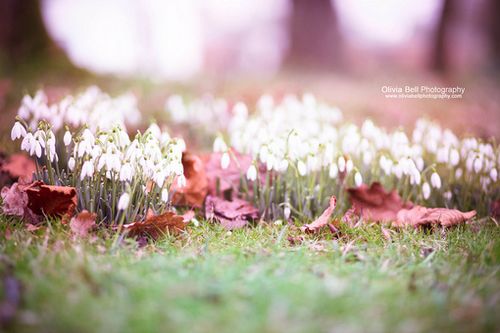 �����ж�����ǽ�赲���ܻ���һ����������������� (7)