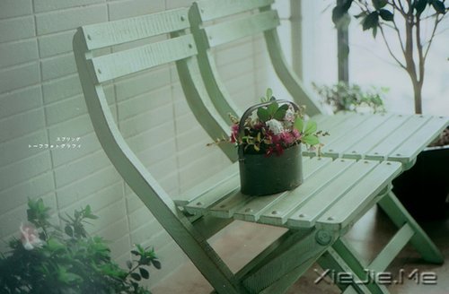 �������ϵĳ���������ǰ�� (5)