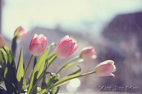 找一个理由,去否认忧伤 (8)