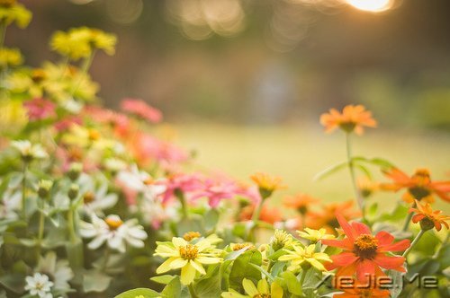 ������ʵ���Լ���������õ� (5)