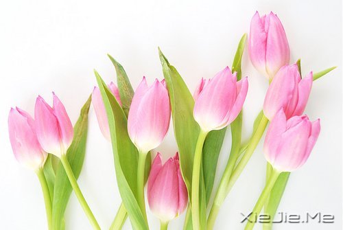 ����������������� (2)