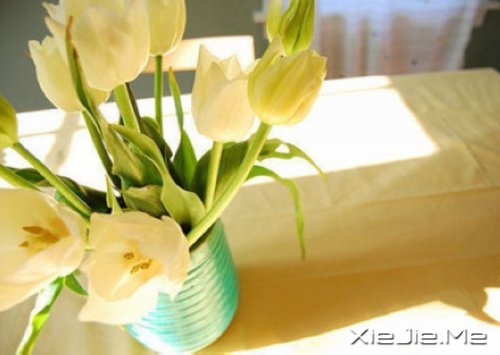 �е����㿴��һ�ۣ�ȴ������һ�� (6)