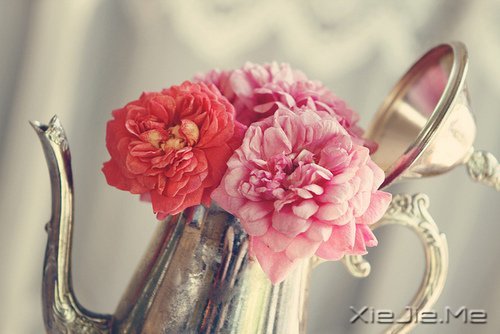 ��׷��ʲô����ȥŬ���� (8)