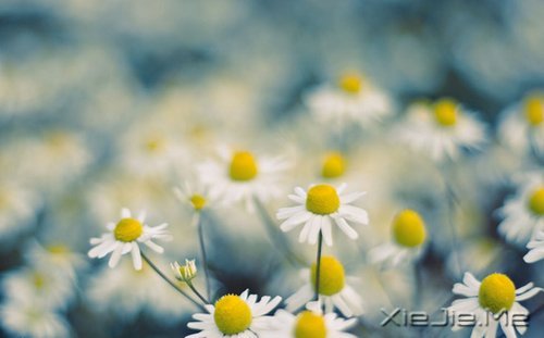 �������������Լ�һ��΢Ц (2)