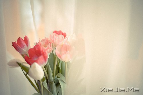 ���ƽ�ͣ�����������װ���������Ҹ� (1)