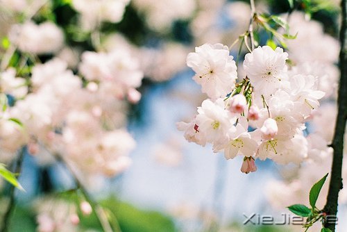 ���ƽ�ͣ�����������װ���������Ҹ� (4)