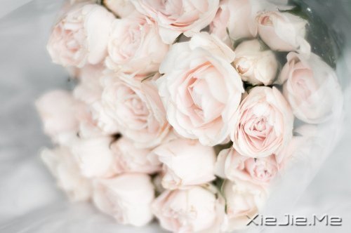 有人能让你痛苦,说明你的修行还不够 (1)