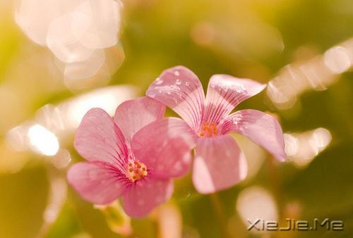 你只有读懂了生命之重,才能看淡时光之轻 (2)