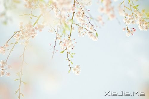 你只有读懂了生命之重,才能看淡时光之轻 (5)