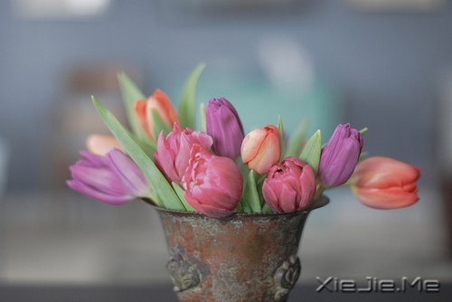 �簲������ʱ����Ե��ˣ�һ��Ҳ�Ͳ������ (5)