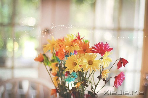 ��������ҵ�������· (12)