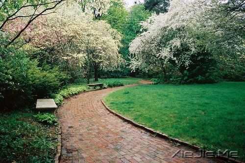 �簲�����ο���˵Ļ����վ���ο�����Լ� (3)