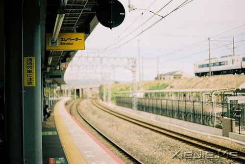 晚安心语:一个人害怕孤独,两个人害怕辜负 (9)