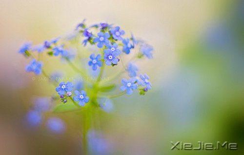 早安心语:得意时要看淡,失意时要看开 (2)