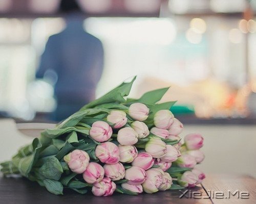 晚安心语:选择最淡的心事,诠释坎坷的人生 (7)