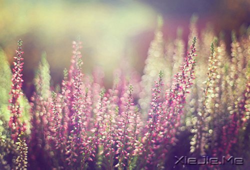 ���ʱ����Ե��ˣ�һ��Ҳ�Ͳ������ (5)