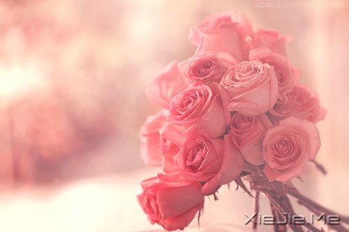 ������������������Ҹ� (2)