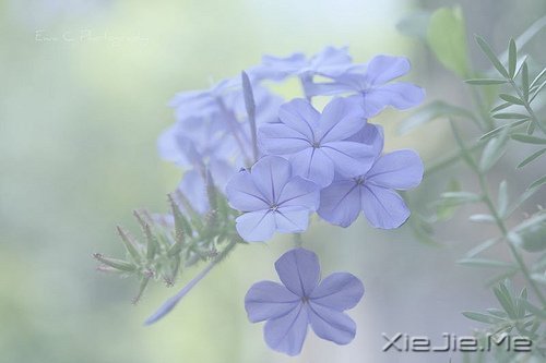 �ʵ��ķ��������������ŵ�ת�� (6)