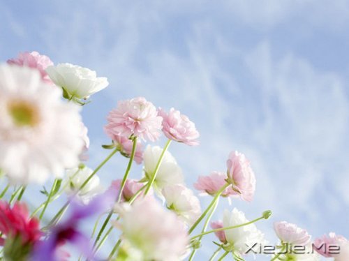 ���������ʰ���飬������· (4)