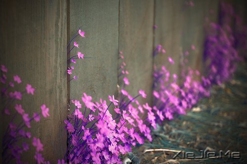 �������΢Ц��ȥ�ȴ�������õ��Լ� (7)