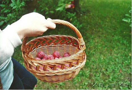 ���������ܵ��ˣ�ֻ�������������ǿ (2)