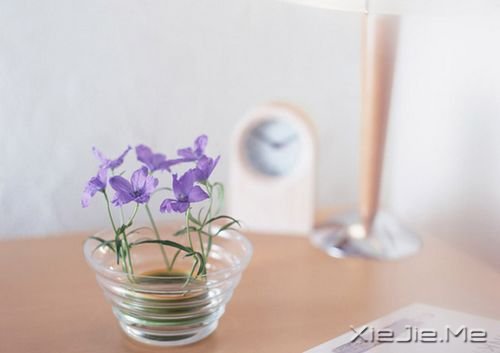 �簲���������һ��������Ը������� (4)