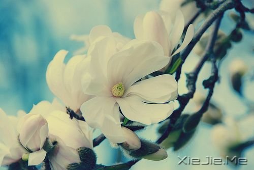 �������ֻҪ�������ڣ��ݳ���û����Ļ (3)