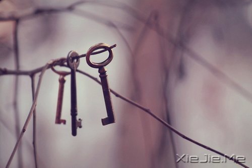 ��������Ҹ��������ߣ�֪��������� (4)