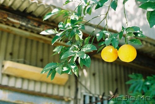 �������ӵ�е�Խ�٣���Խ����ȥ��ϧ (5)