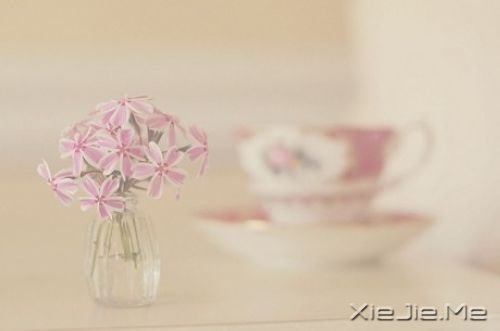 早安心语:你生活在别人的眼神里,就迷失在自己的心路上 (6)