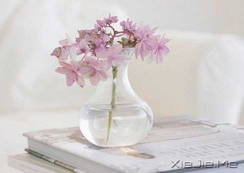 ���������Ц��ȫ�������Ц (5)