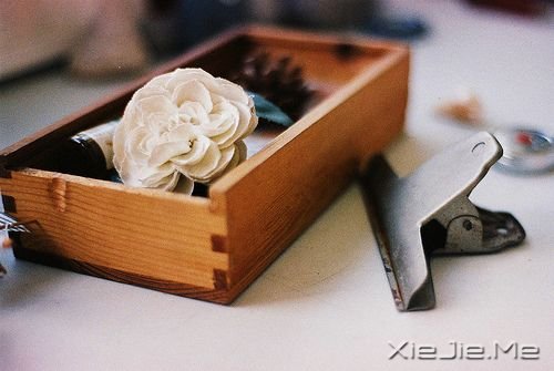 晚安心语:别对生活要求太多,生活才会充满惊喜 (4)