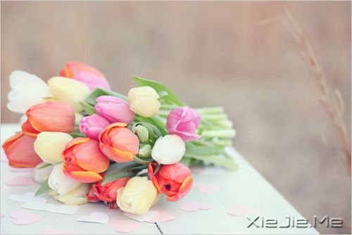 ������������Ϊ����õ����ˣ����ѵ��ټ� (12)