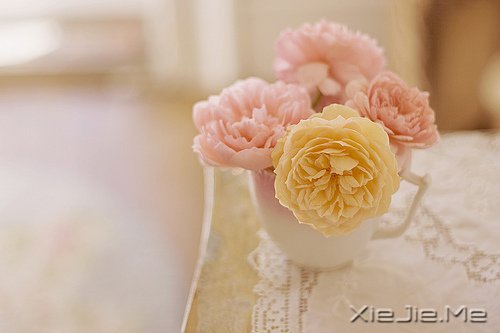 �����Լ������κ��ź� (4)