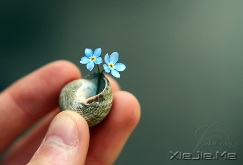 ���ҹ�����������Щ���øɵ���