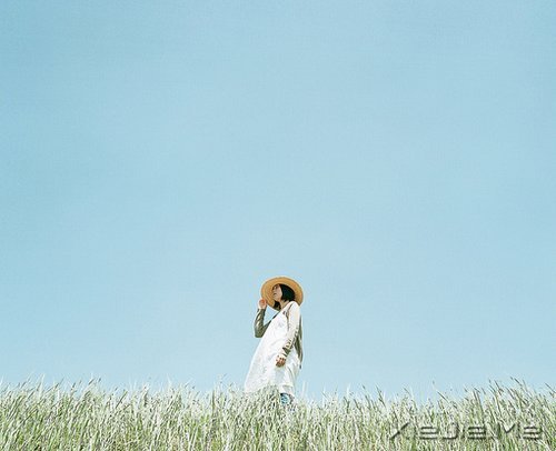 文字:席慕容文字选 (9)