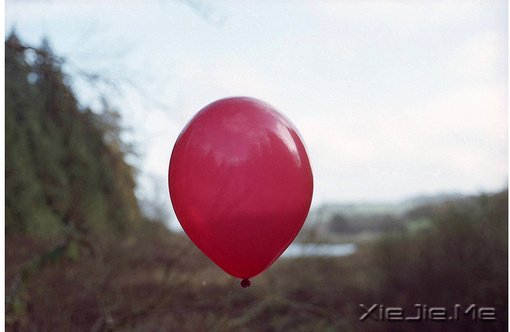 文字:让我们在最美的年华彼此遇见 (4)