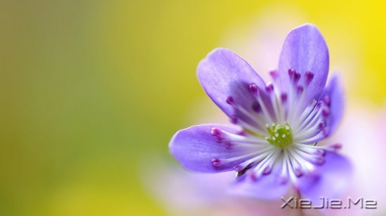 ���֣�Ҫ������ʮ���� (1)