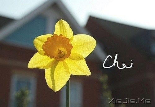 ΢Ц����ů���� (1)